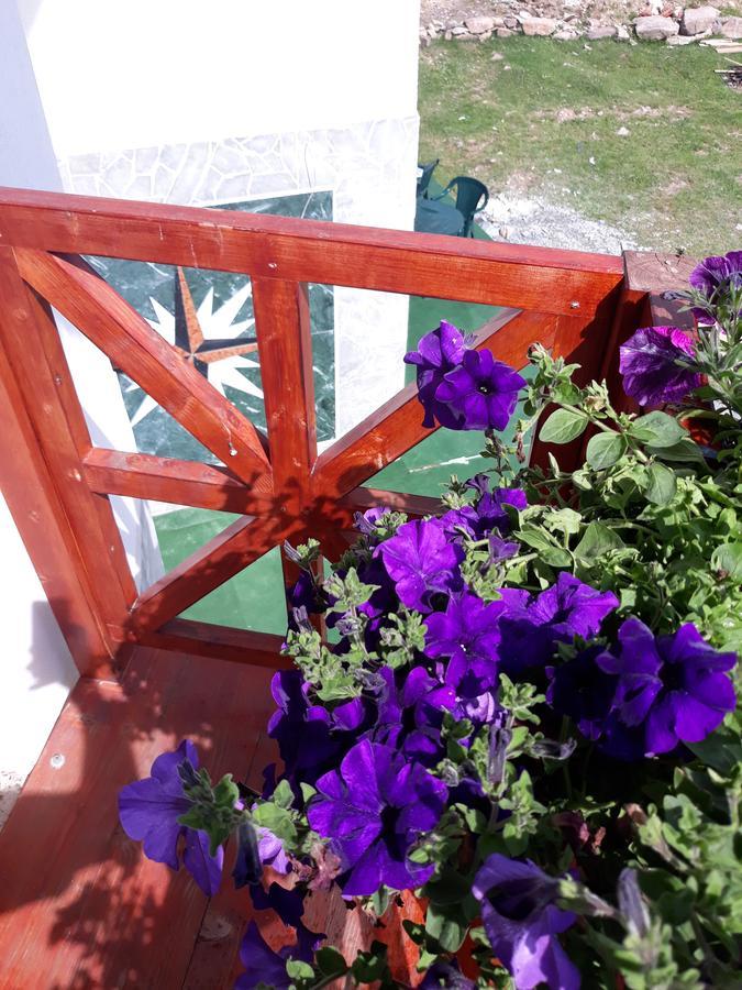 Pensiunea Piatra Graitoare Vartop Exterior foto